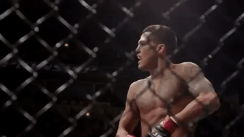 ufc 206 GIF