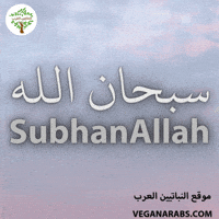Islam Arabic Language GIF by VeganArabs
