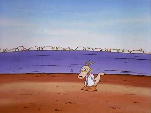 rockos modern life nicksplat GIF