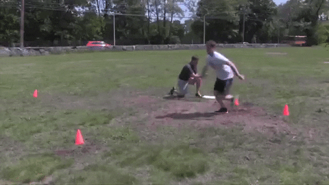 big cat kfc GIF by Barstool Sports