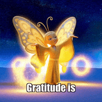 Joy Gratitude GIF by BuddhaFlyJourney