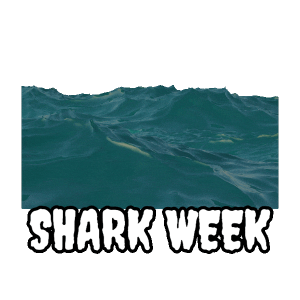 Shark Week Sticker