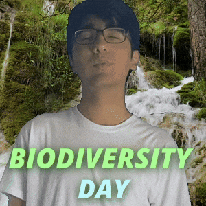 Biodiversity Environment Day GIF