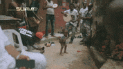 Allineed GIF by A FILM BY SUAVE