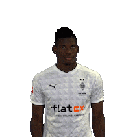 Celebrate Breel Embolo Sticker by Borussia Mönchengladbach
