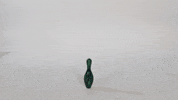Forester Womens Bowling 2022 GIF by FDN Sports