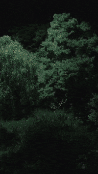 GIF by Bournemouth 7s Festival