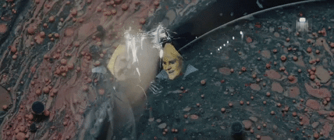 Life On Earth GIF by Hurray For The Riff Raff