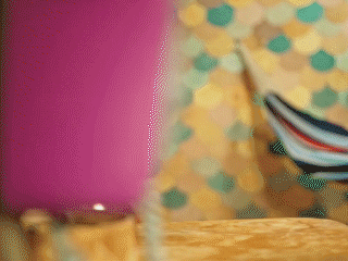 everwhatproductions giphyupload funny hello lol GIF