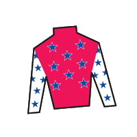 Sport Silk Sticker by Kentucky Derby