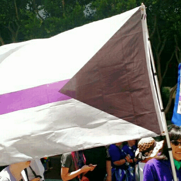 demi demisexual flag GIF