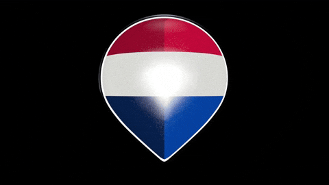GIF by RE/MAX