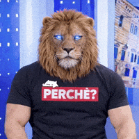 Perche GIF by Media Many