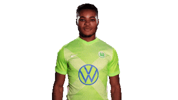 Soccer Sticker Sticker by VfL Wolfsburg