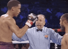 toprank fight boxing champion espn GIF