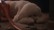 fix me GIF by Beck