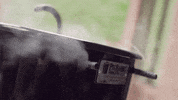 PitBarrelCooker grill smoker ribs pitbarrel GIF