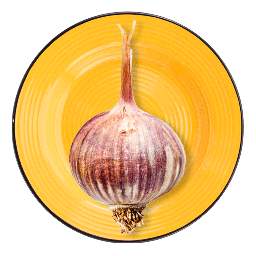 dorotsimplycook giphyupload דורות דורותפשוטלבשל Sticker