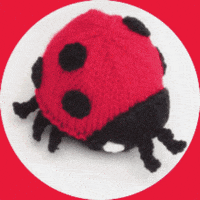Chocolate Orange Ladybug GIF by TeaCosyFolk