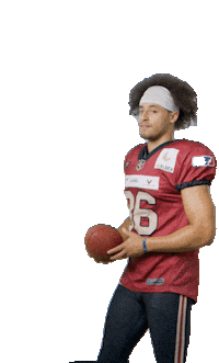 rheinfire football fire touchdown elf Sticker