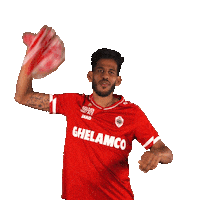 Celebrating Number One Sticker by Royal Antwerp FC