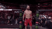 Mixed Martial Arts Sport GIF by UFC