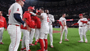 Mike Trout GIF by Los Angeles Angels