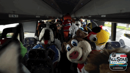 ice hockey sport GIF by NHL