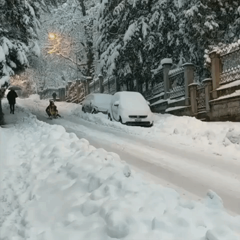 People Sled Down Road as Zurich is Blanketed by Heavy Snow
