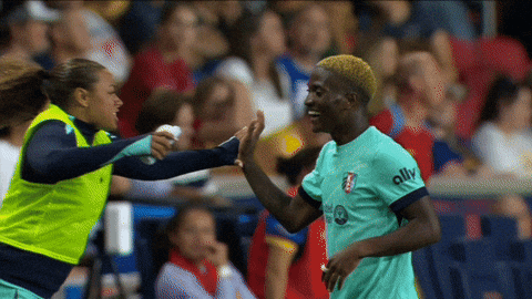 Goalcelebration Hug GIF by National Women's Soccer League