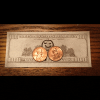 united states submission GIF by The Savannah .GIF Festival