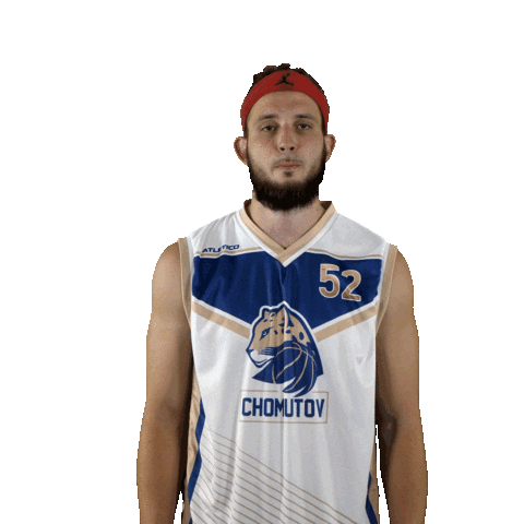 Basketball Sticker by Levharti