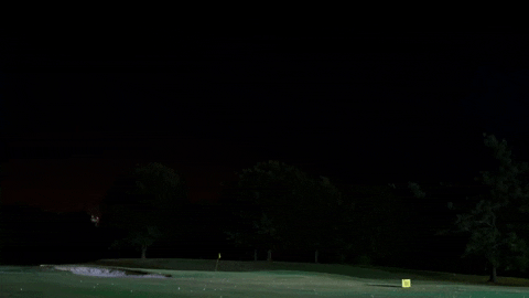 betomenezes05c9 giphyupload GIF