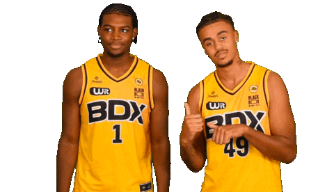 Basketball Basket Sticker by JSABMB