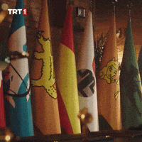 Turkish Flag GIF by TRT