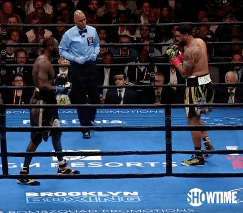 deontay wilder sport GIF by SHOWTIME Sports
