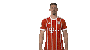 celebrate fc bayern Sticker by Bundesliga