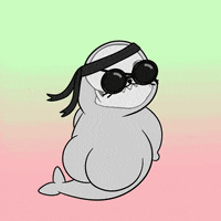 Dance Dancing GIF by Sappy Seals Community