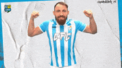 Football Sport GIF by ChemnitzerFC