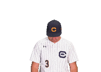Uc Berkeley Baseball Sticker by Cal Athletics