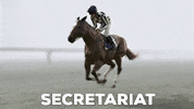 Horse Racing Secretariat GIF by Kentucky Derby