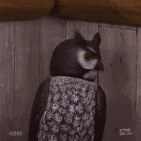 Pop Tv Bb21 GIF by Big Brother After Dark