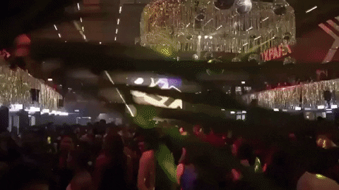 GIF by DLT Brunch