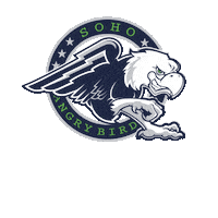 Angrybird Wintersprings Sticker by F45 Tuskawilla