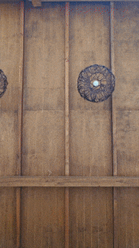 Chile Buenos Dias GIF by Humita