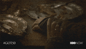 Hbo GIF by Game of Thrones