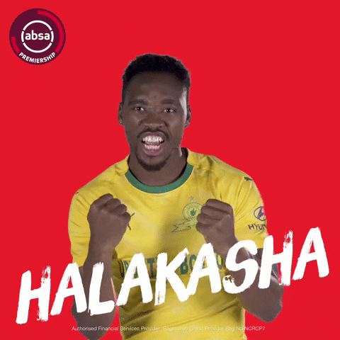 south african soccer GIF