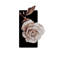 Art Flower Sticker