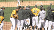 north dakota state baseball GIF by NDSU Athletics
