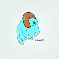 Slamffl GIF